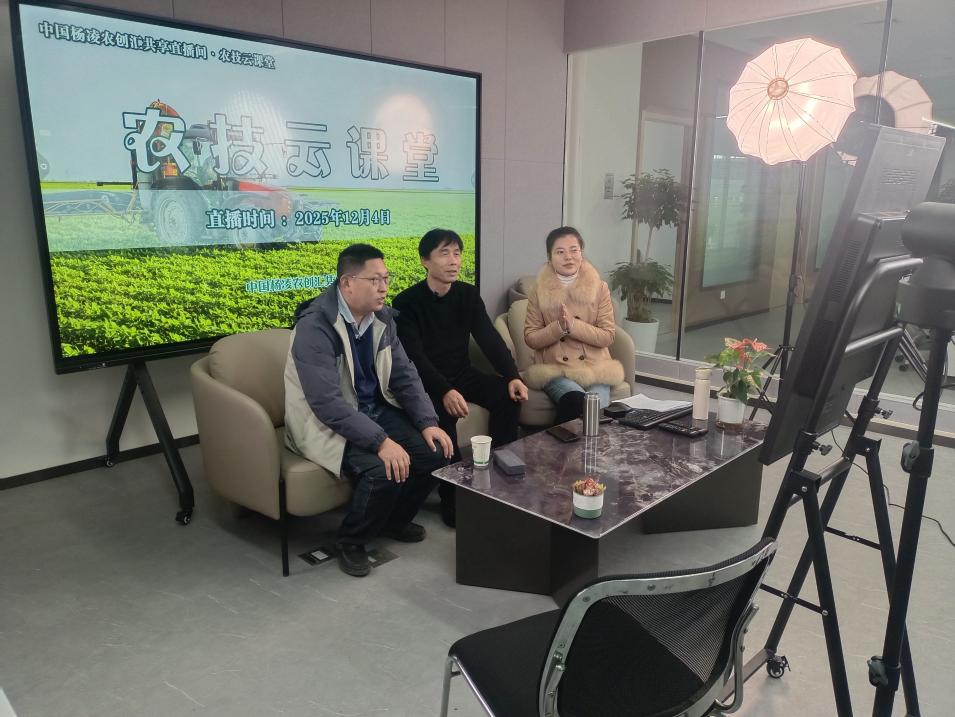 8ebd1a398227940e26cd0b7aa47ed2c8