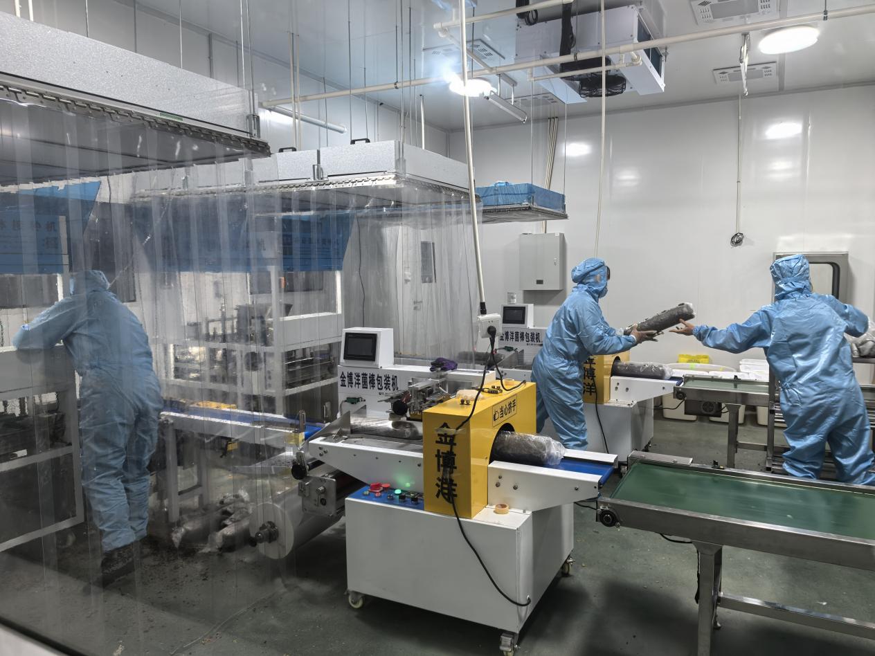 131764906788_.pic_hd