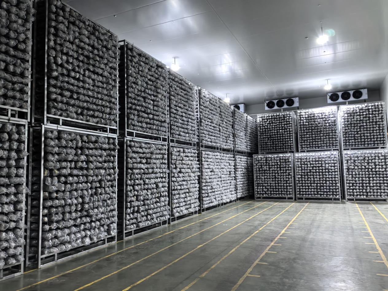 121764906787_.pic_hd