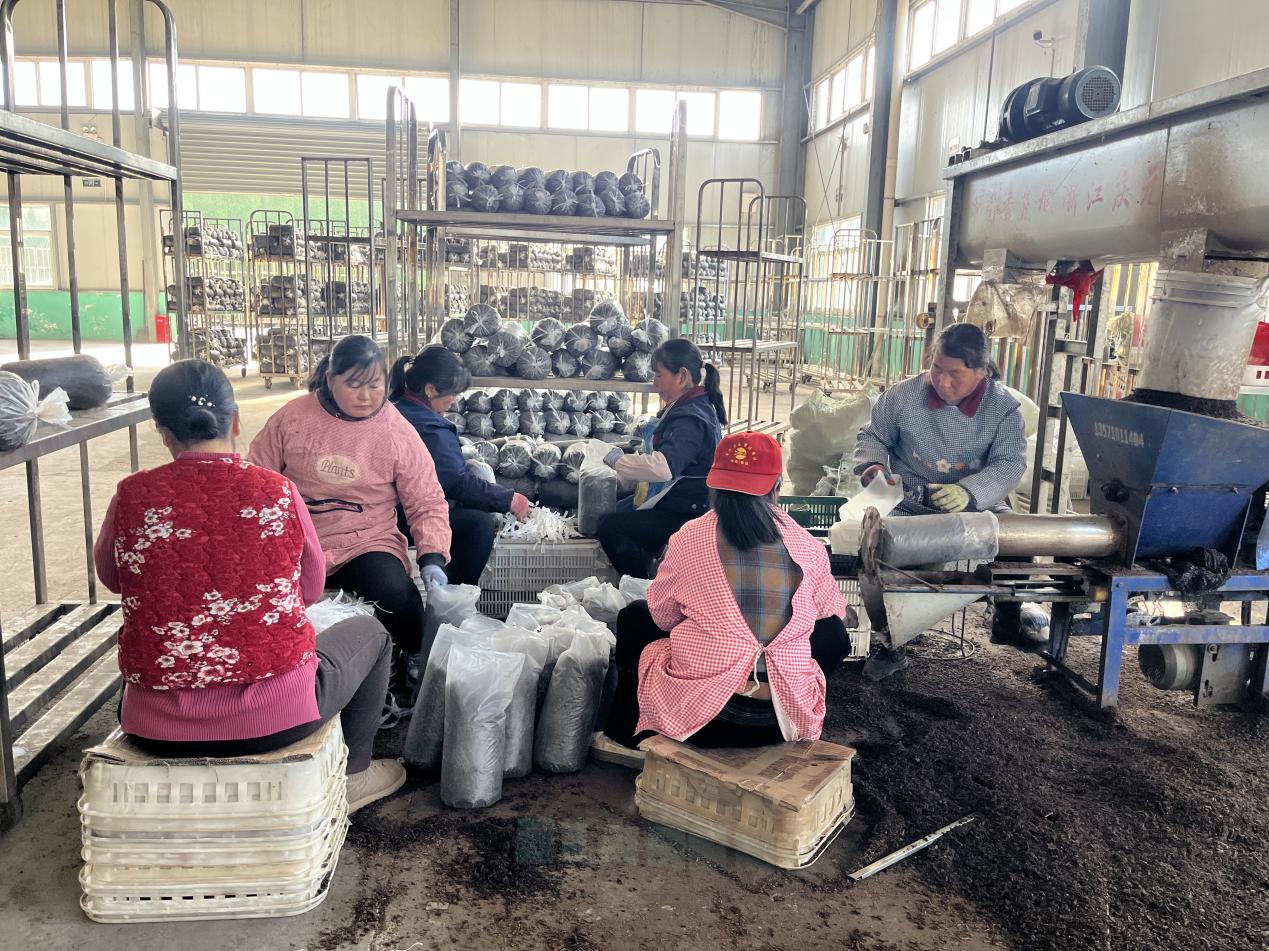 111764906681_.pic_hd