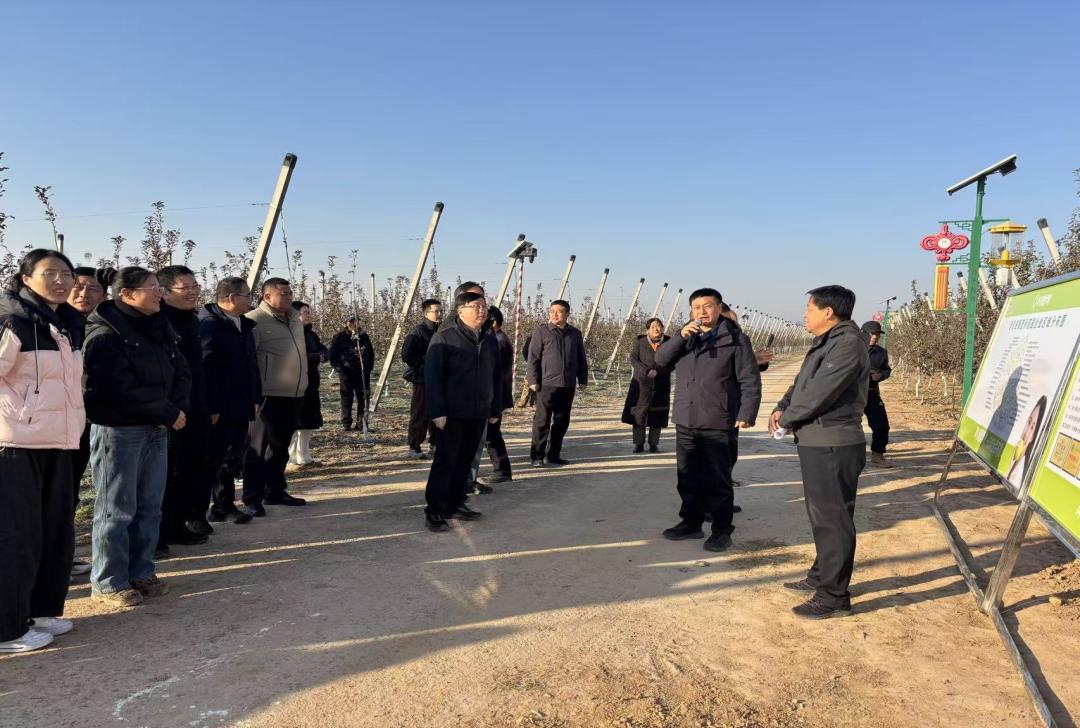 微信图片_20251205182853_5_113