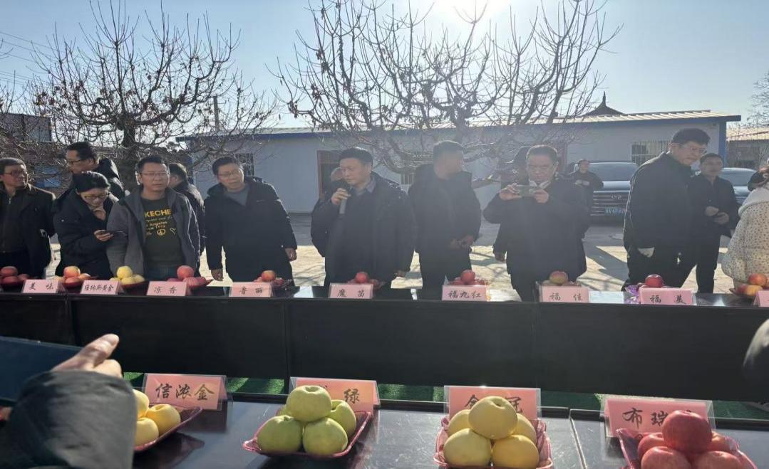 微信图片_20251205183508_6_113