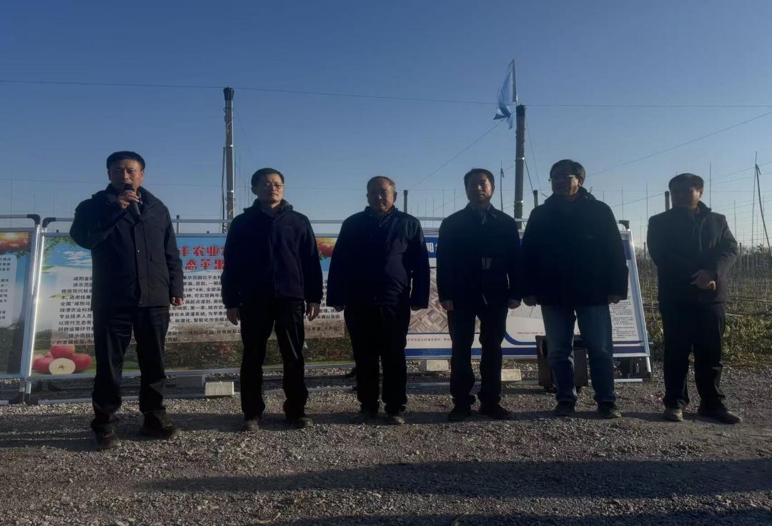 微信图片_20251205183514_11_113