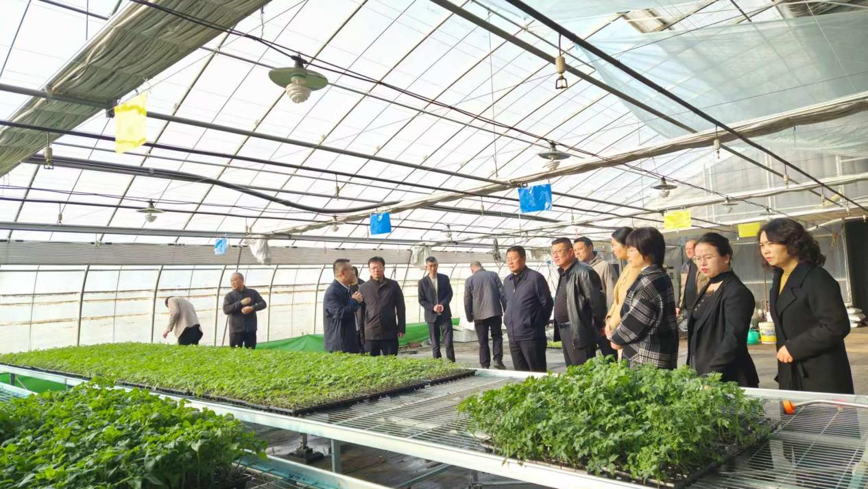 4f807dfdce86ab15a27731cdcedfdce7