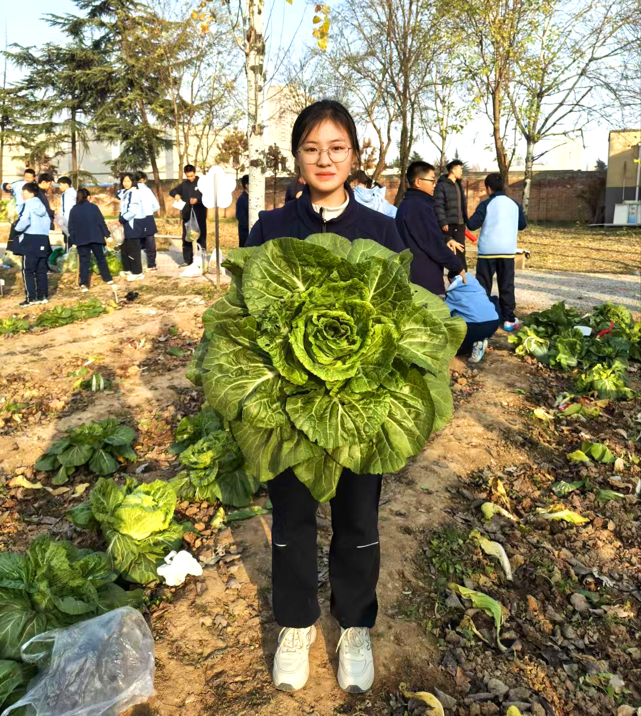 2我采的这一棵白菜最大