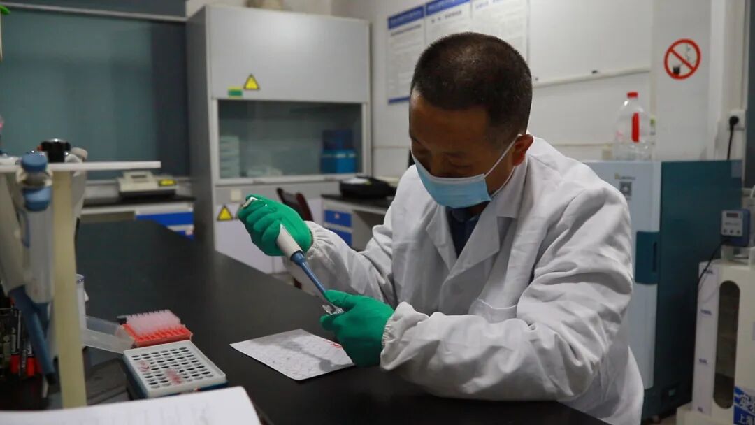 20251214172542140-26-76c19.jpg 20251214172542140-26-76c19.jpg