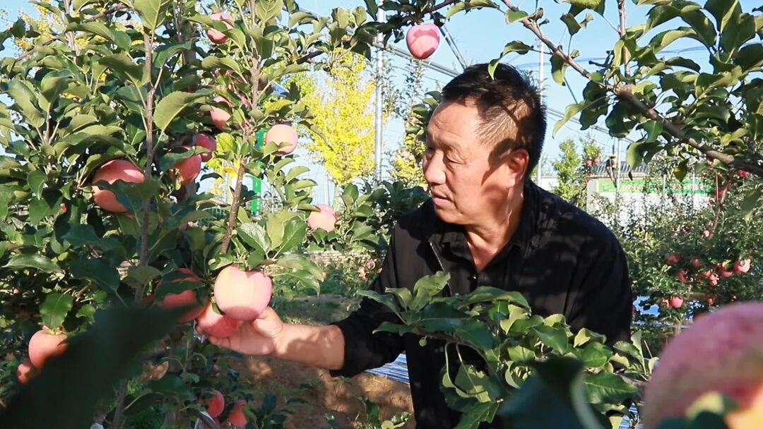 20251214172542353-68-106dc.jpg 20251214172542353-68-106dc.jpg