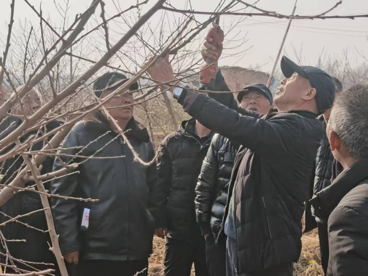 8731a77a77266c0fe21429aa3d67f73c