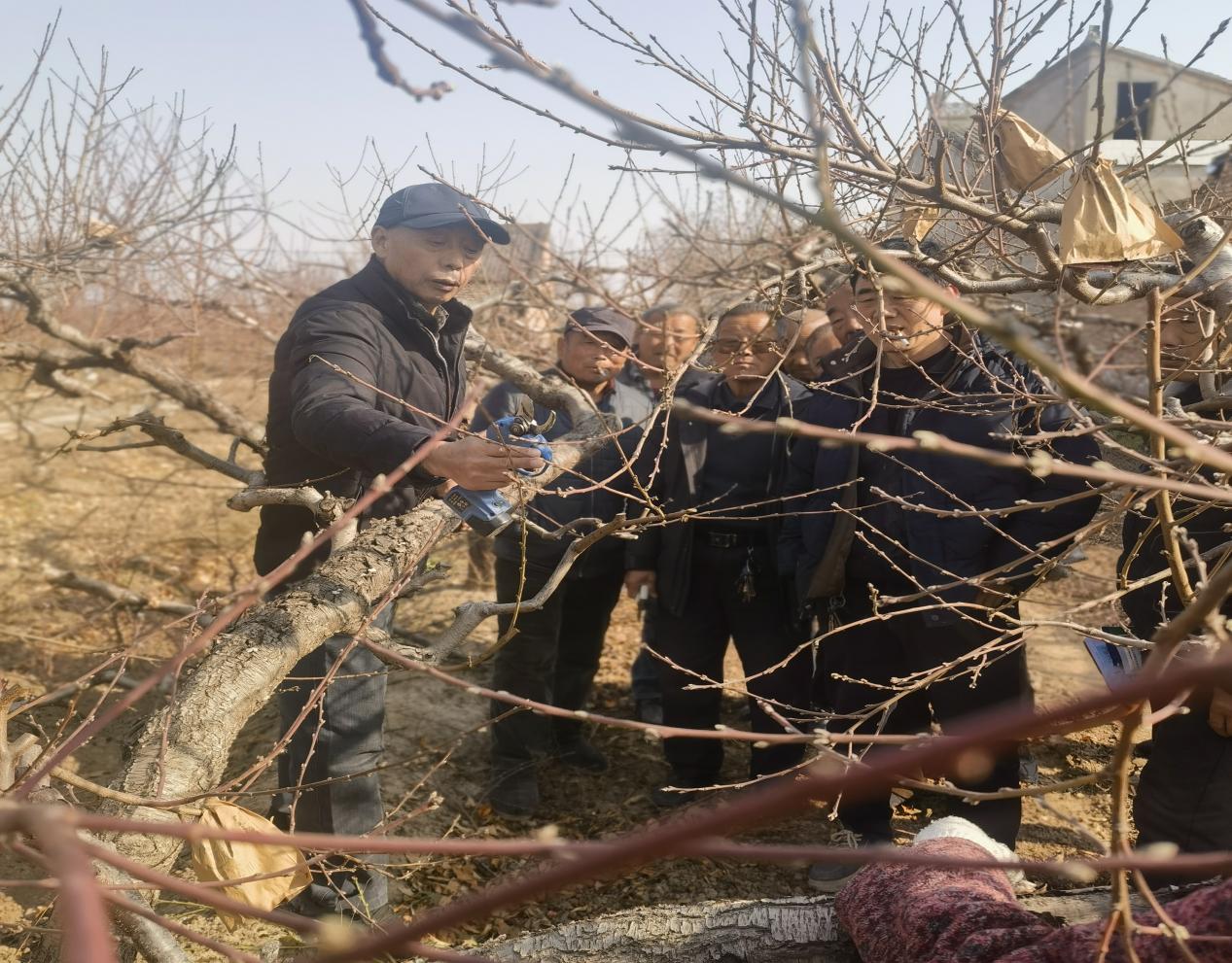 6664808a6588e6e945bcfd310fbbd471