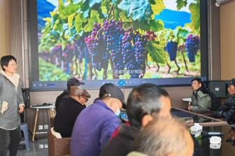 C:/Users/47552/Desktop/葡萄班照片/微信圖片_20251121103712_163_594.jpg微信圖片_20251121103712_163_594