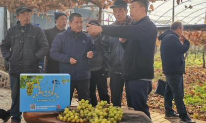 C:/Users/47552/Desktop/葡萄班照片/微信圖片_20251121103805_173_594.jpg微信圖片_20251121103805_173_594