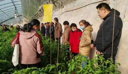 C:/Users/47552/Desktop/蔬菜班照片/微信圖片_20251211095958_153_2.jpg微信圖片_20251211095958_153_2