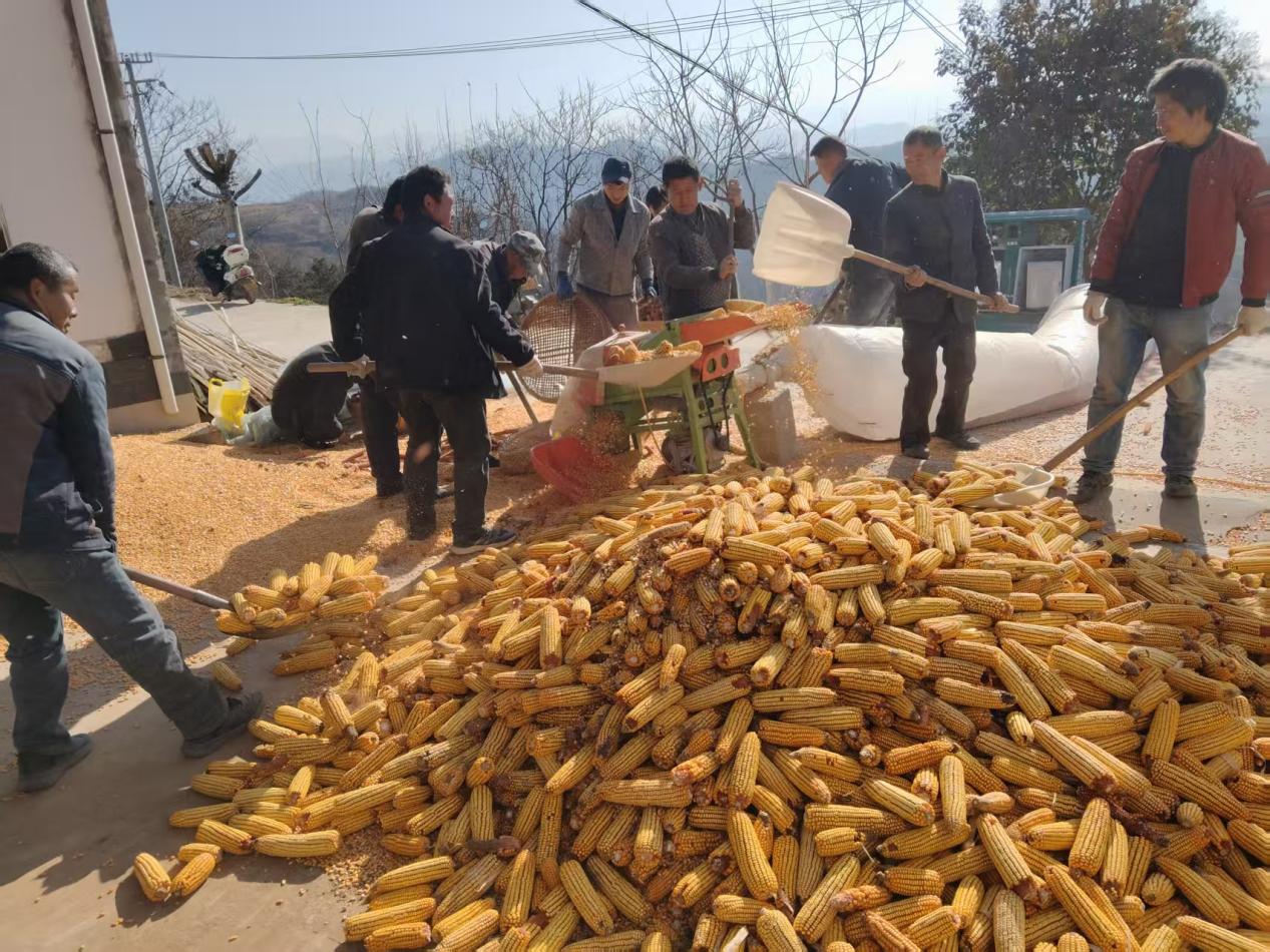 微信图片_20251215134624_165_1