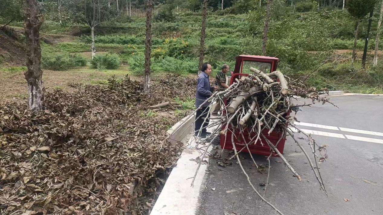 微信图片_20251215185712_41_39