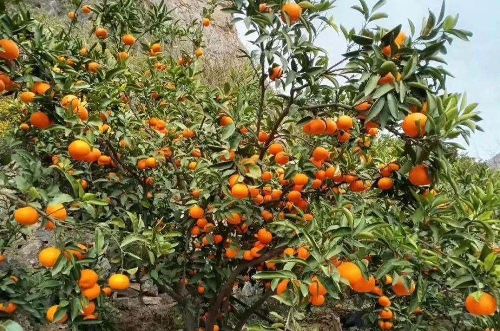 90eb3e5e873268a3964e6c19ebca7036