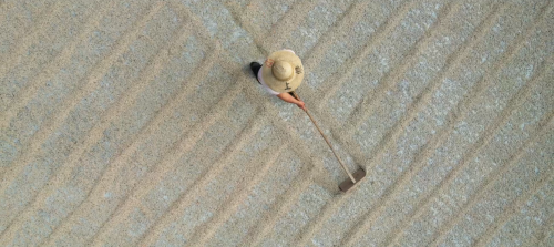 薏見“薏中仁”  仙游這家合作社讓千年貢米煥發(fā)新生