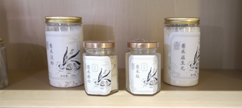 薏見“薏中仁”  仙游這家合作社讓千年貢米煥發(fā)新生