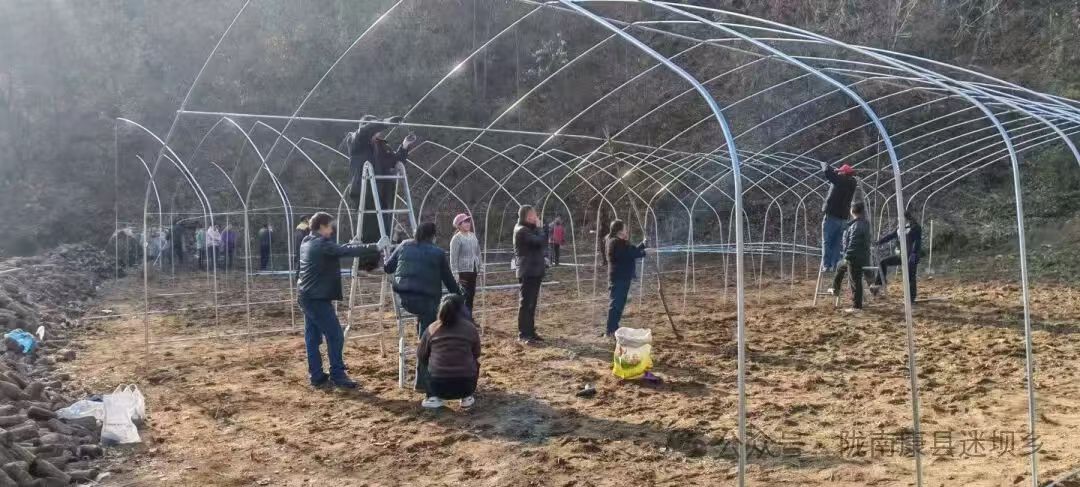 38bf824b388b25c5b676cd5d5f88454d