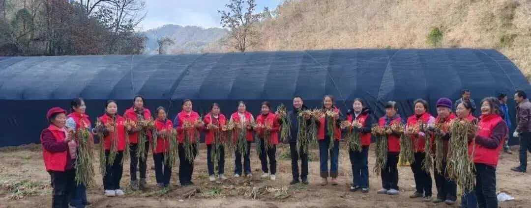 bc6e3c371ddf5e6558448e0c5db91af5