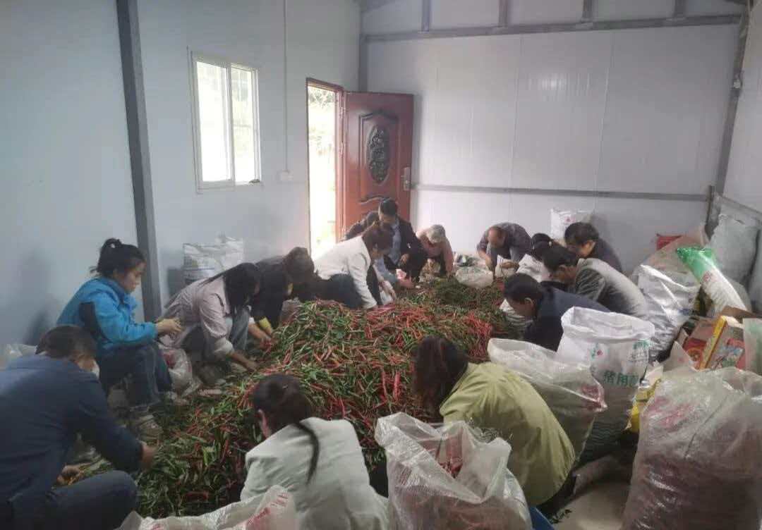 9336723cd6debaecf04b50ebaf25e673