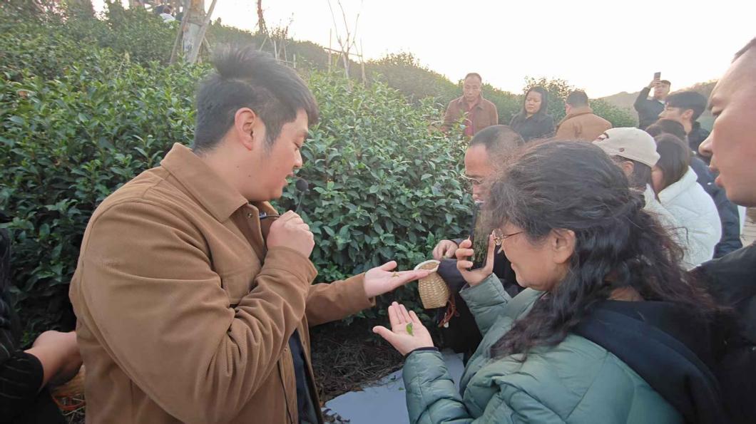 微信图片_20251222091052_963_11