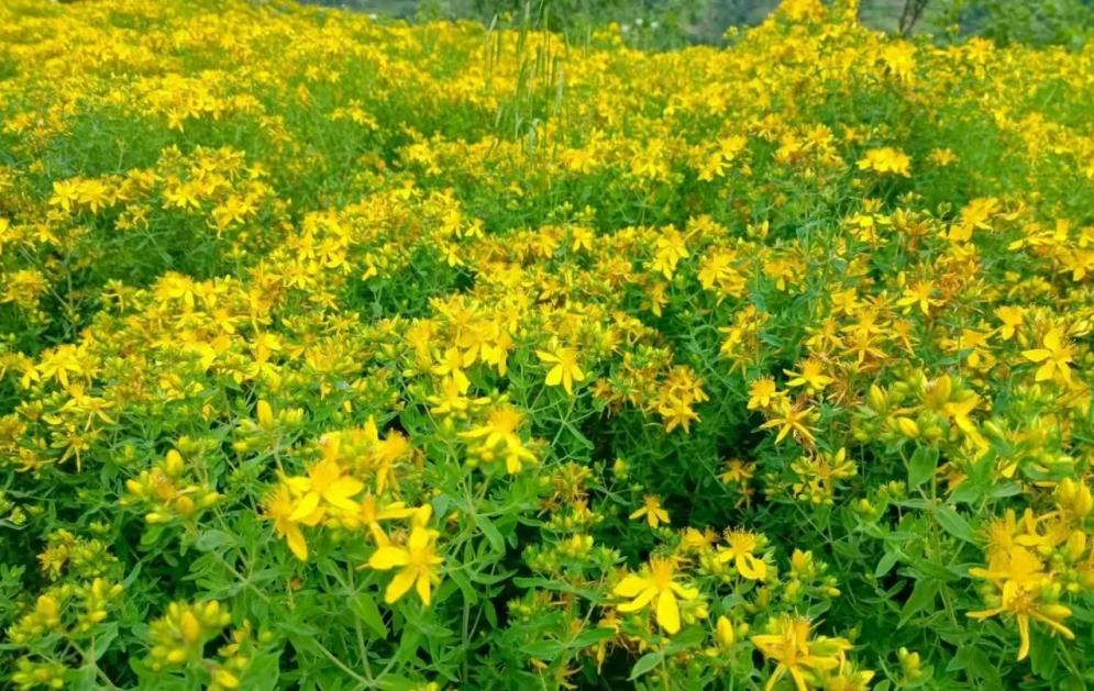 b86dcfb9cab3fc74eb16626a93f16159