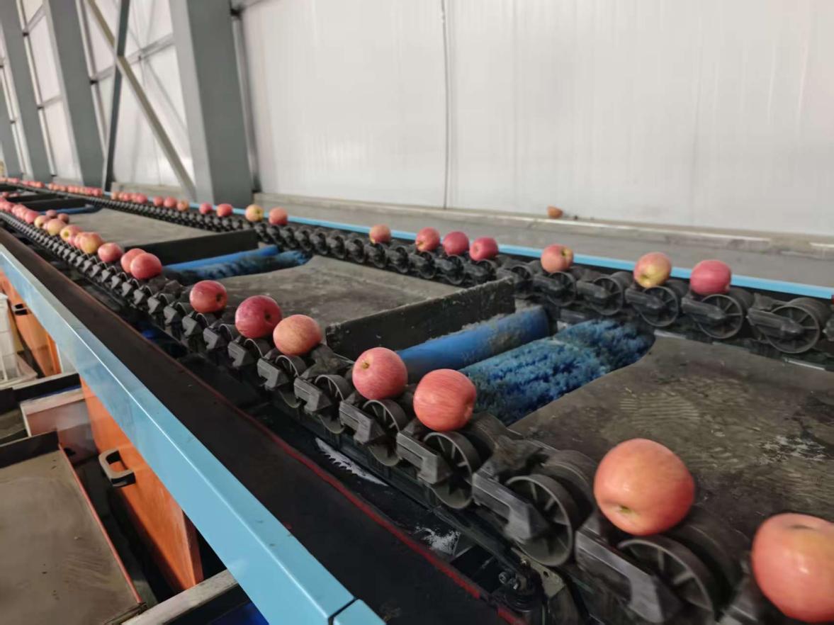 3dac3649c51a7a09060c2ea0082bb7f0