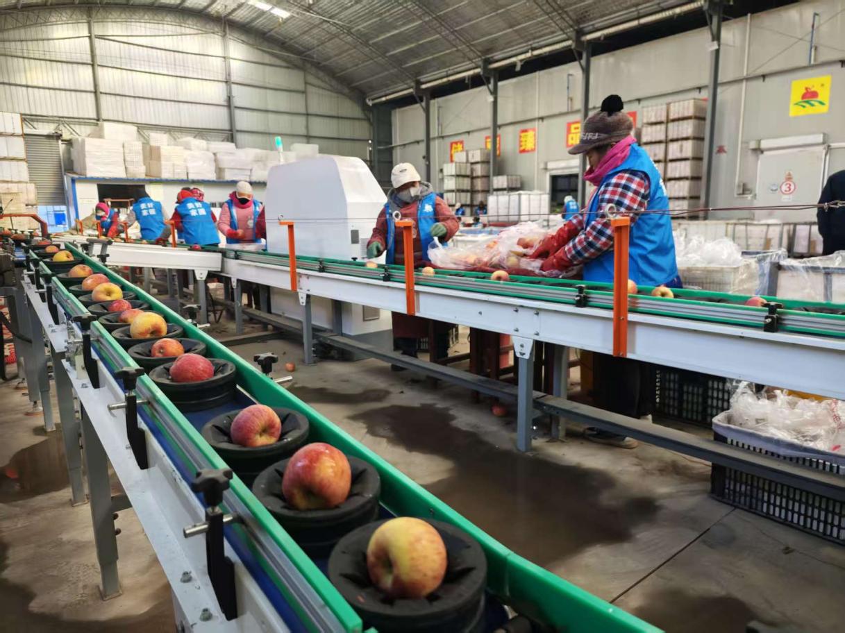 88e592cee3864a5175a9e64ea0a19e0b