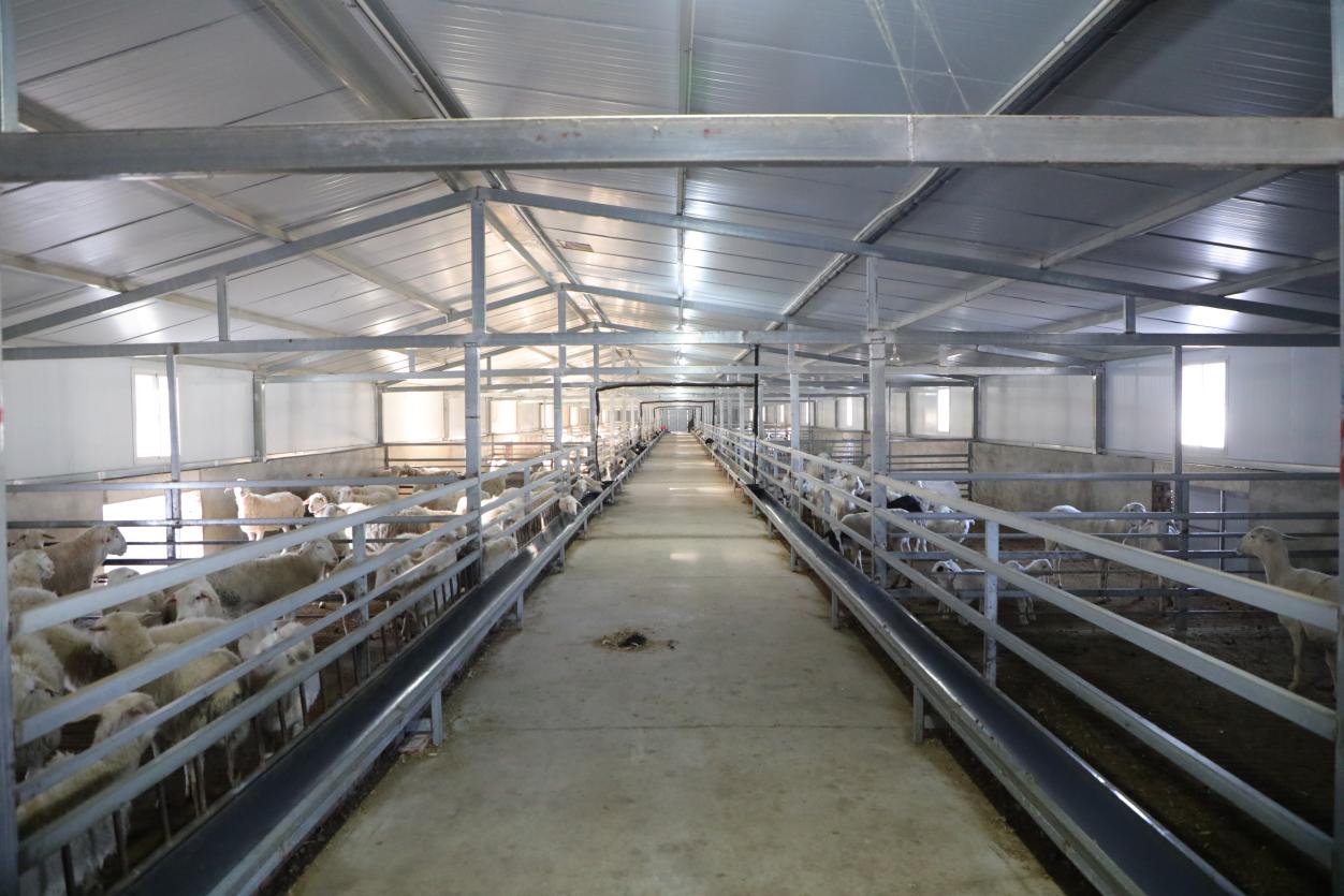 a57f93ee63615c5c172656da96c934ab