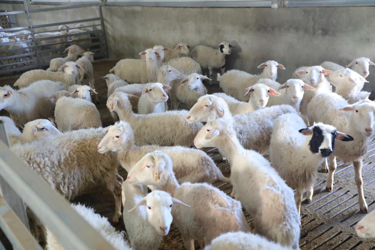 7edf8a39f903c9f5d1273468f6ae2b91