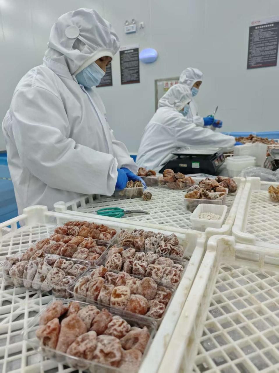 38afd12d59a2625ba6693c6008bf18d0