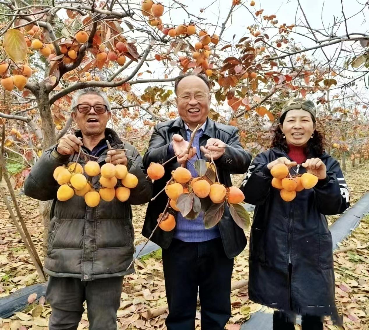 10a1e7a843a305020d07de4b18a802b4