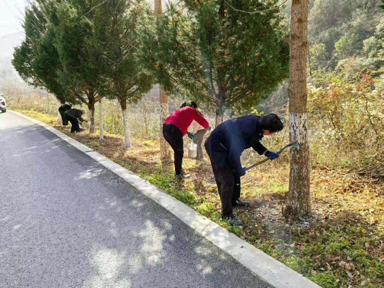 a186def8e85a32a57bbc41559cc23060