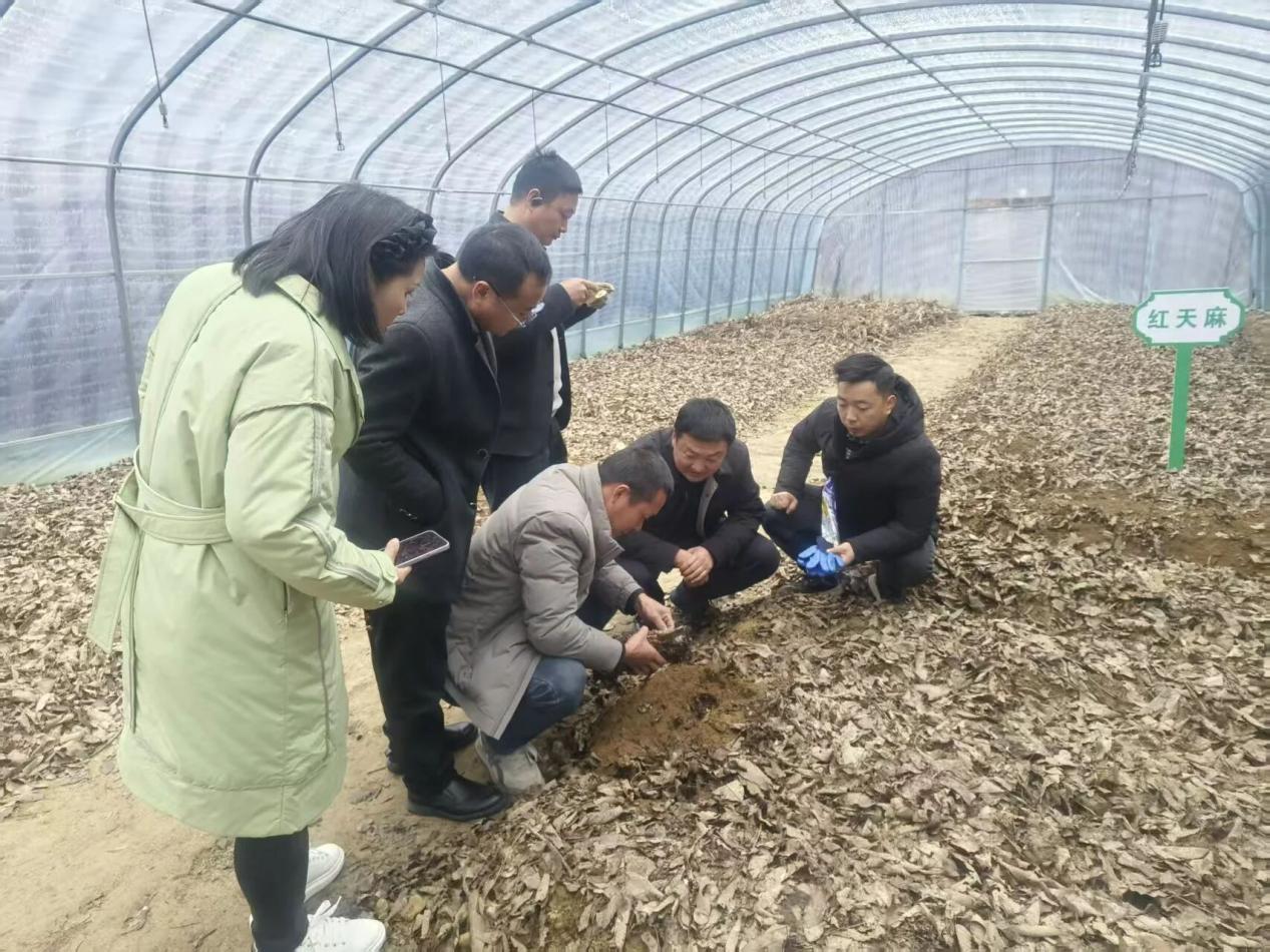 461e9165a1d01acd04cc6667f21f2da5