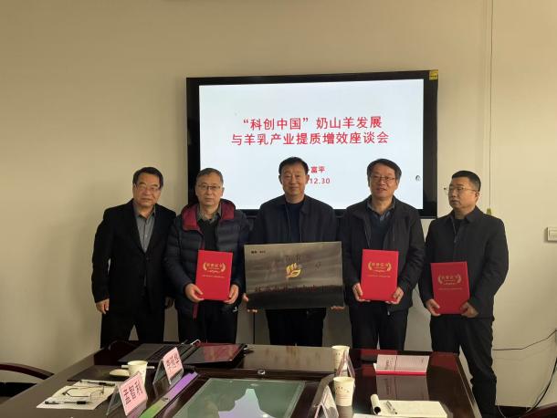 333ac5beeefa98bd8b2568f62b7c48f6