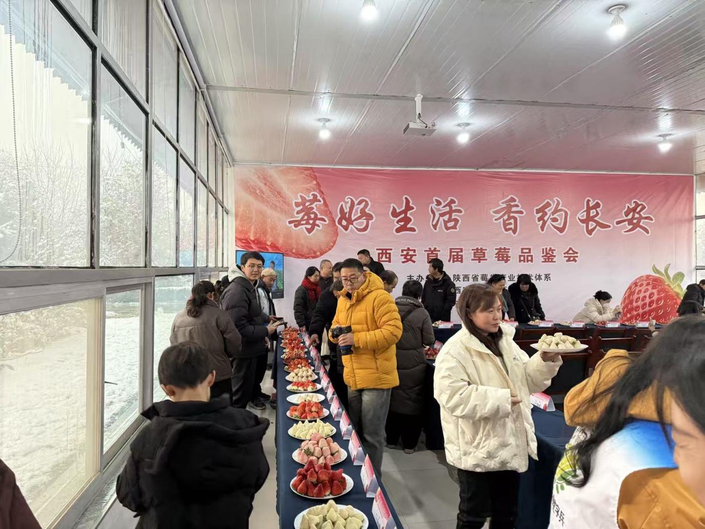 微信图片_20260104103959_292_549