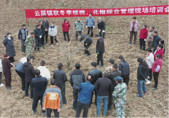 6b3a8effe92906db27f25b388cb4c7c4