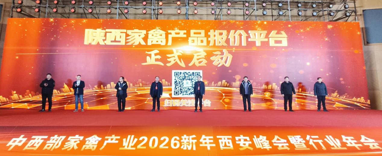 3757087fe081e7cd92ca1d736b525c09