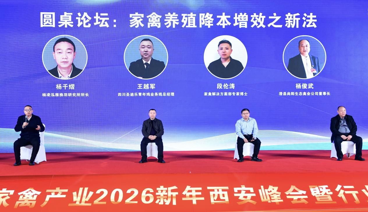 de7ebbe371459973319fad4eed5dc3ae