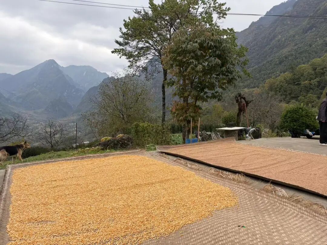 a3ea4b49e63dfb3b66ff8870d3b66e92