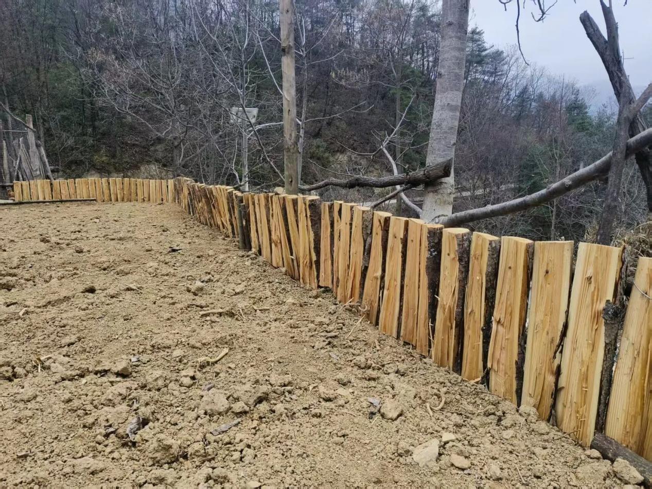 2136d3307deb8cf4df8e409b77a1928c