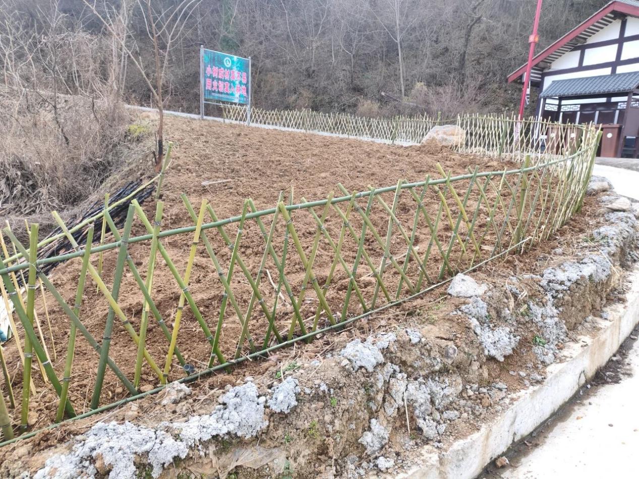 3a8611edbbdec5a7d4aa6ef2fb6165f8