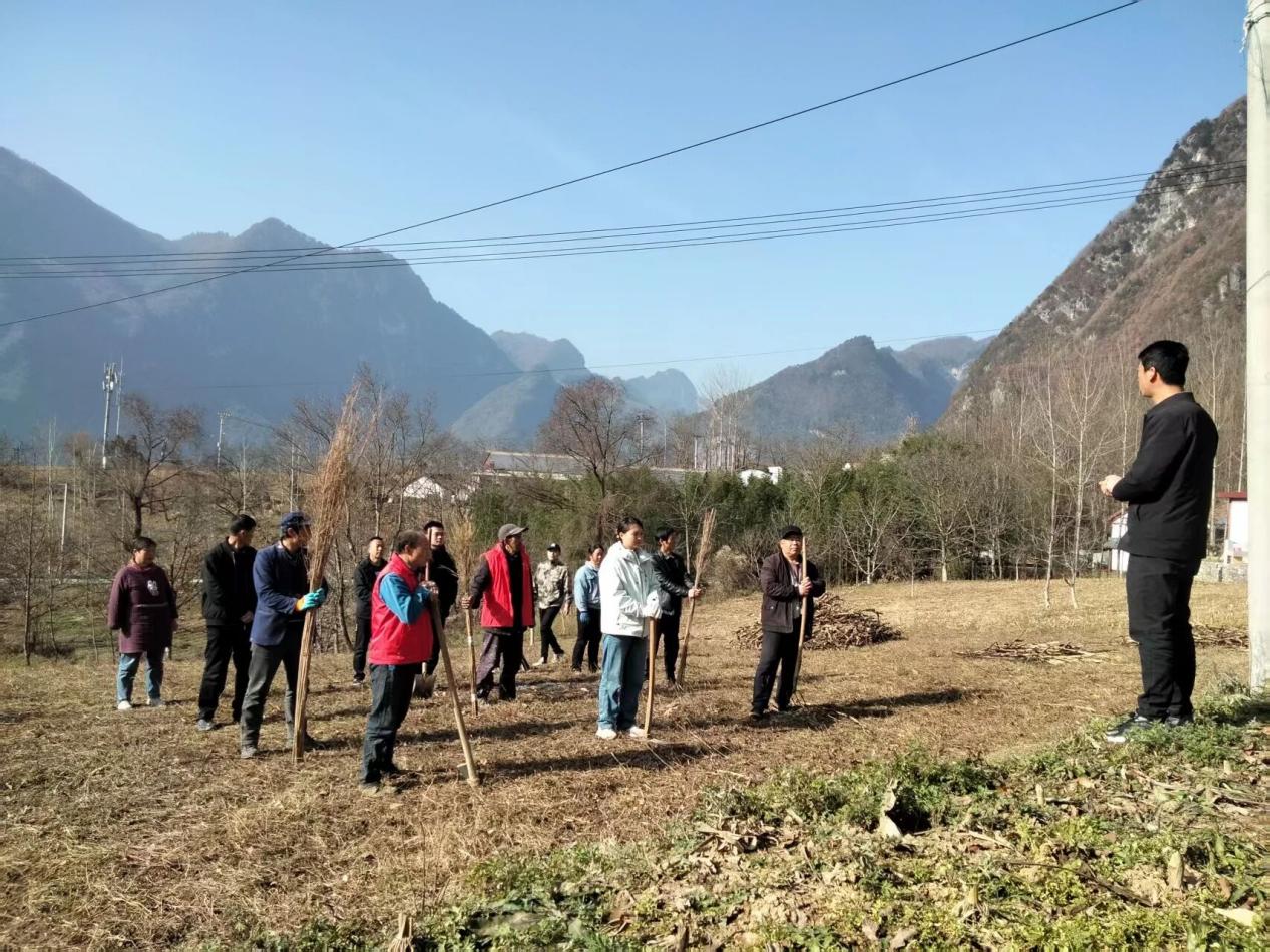 d849316870bec5fcb29ba4007ead6f73