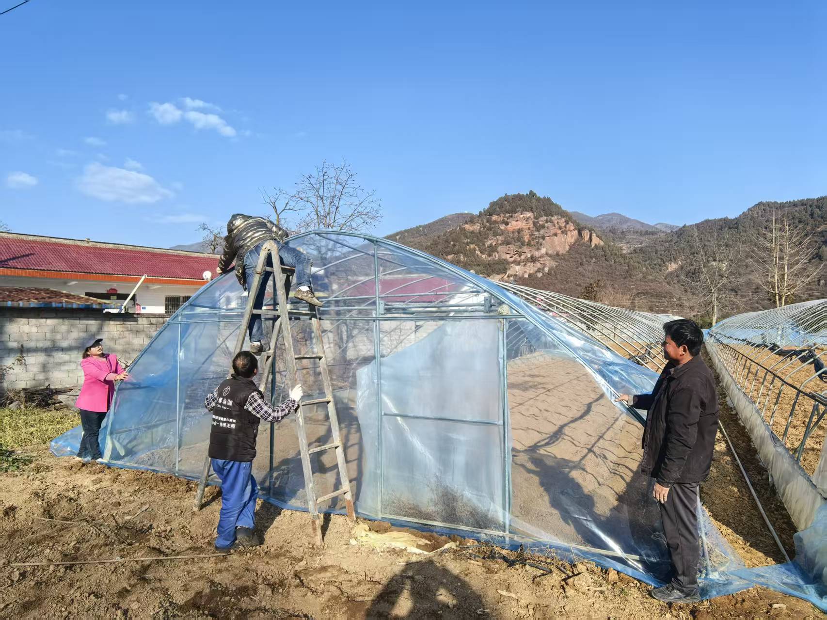 G:/2026年各类照片合集/微信报道/2026.1.6豆坪大棚换新+/caa174640466be2551ce99e0d241b1bc.jpgcaa174640466be2551ce99e0d241b1bc