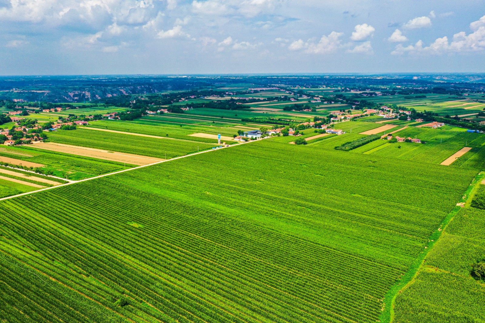 “农”墨重彩绘新卷(图2)