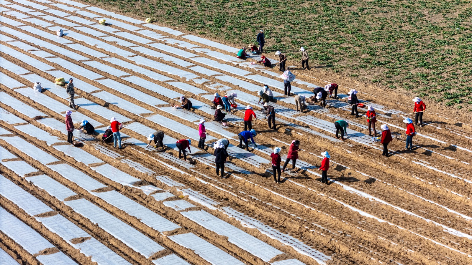 “农”墨重彩绘新卷(图7)