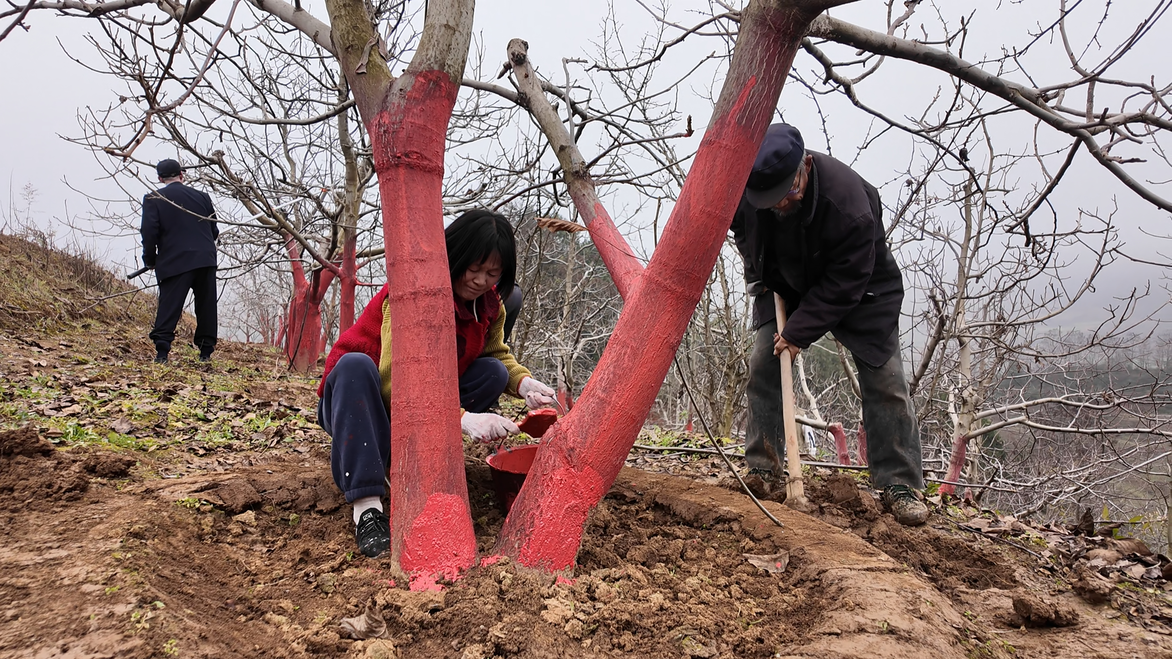 de2ecdb034aea7710723cdd14aec4dbb