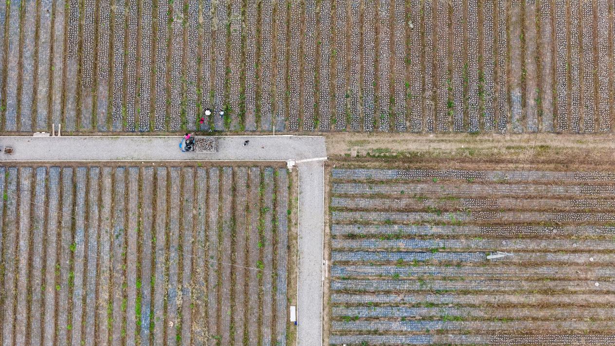 DJI_20241105150433_0170_D