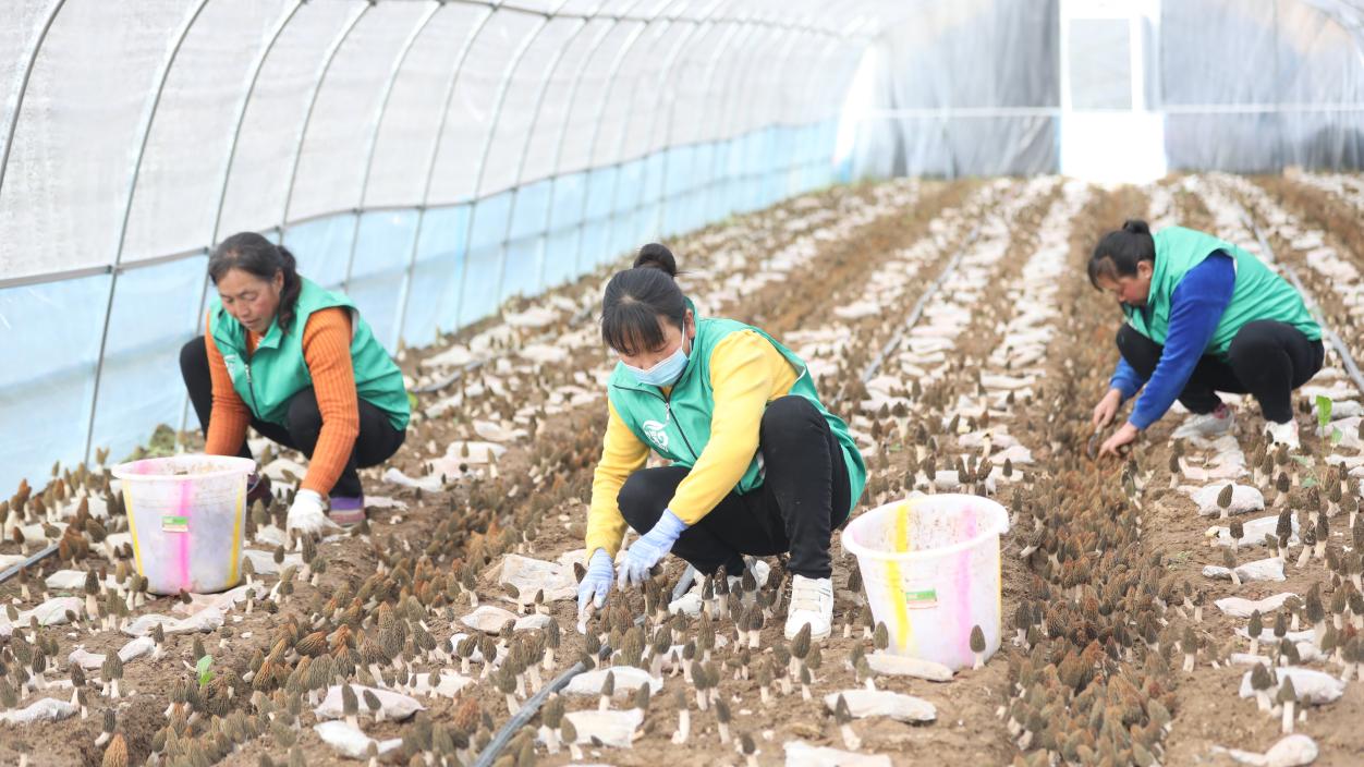 e296bb83cce59b358de1b67b12cbc6e