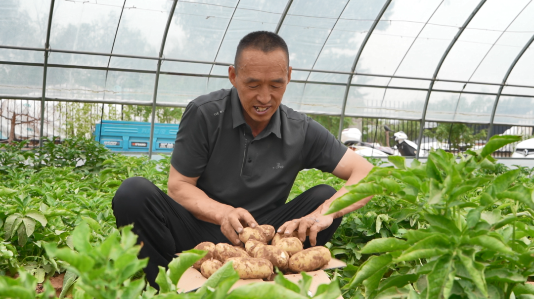 陕西榆阳区：以科技创新推动经济高质量发展(图1)